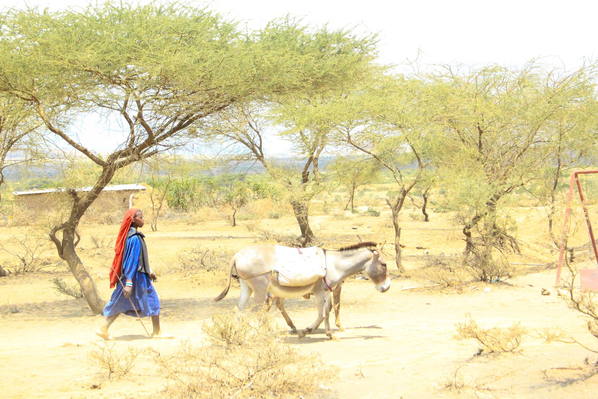 Going to Market
