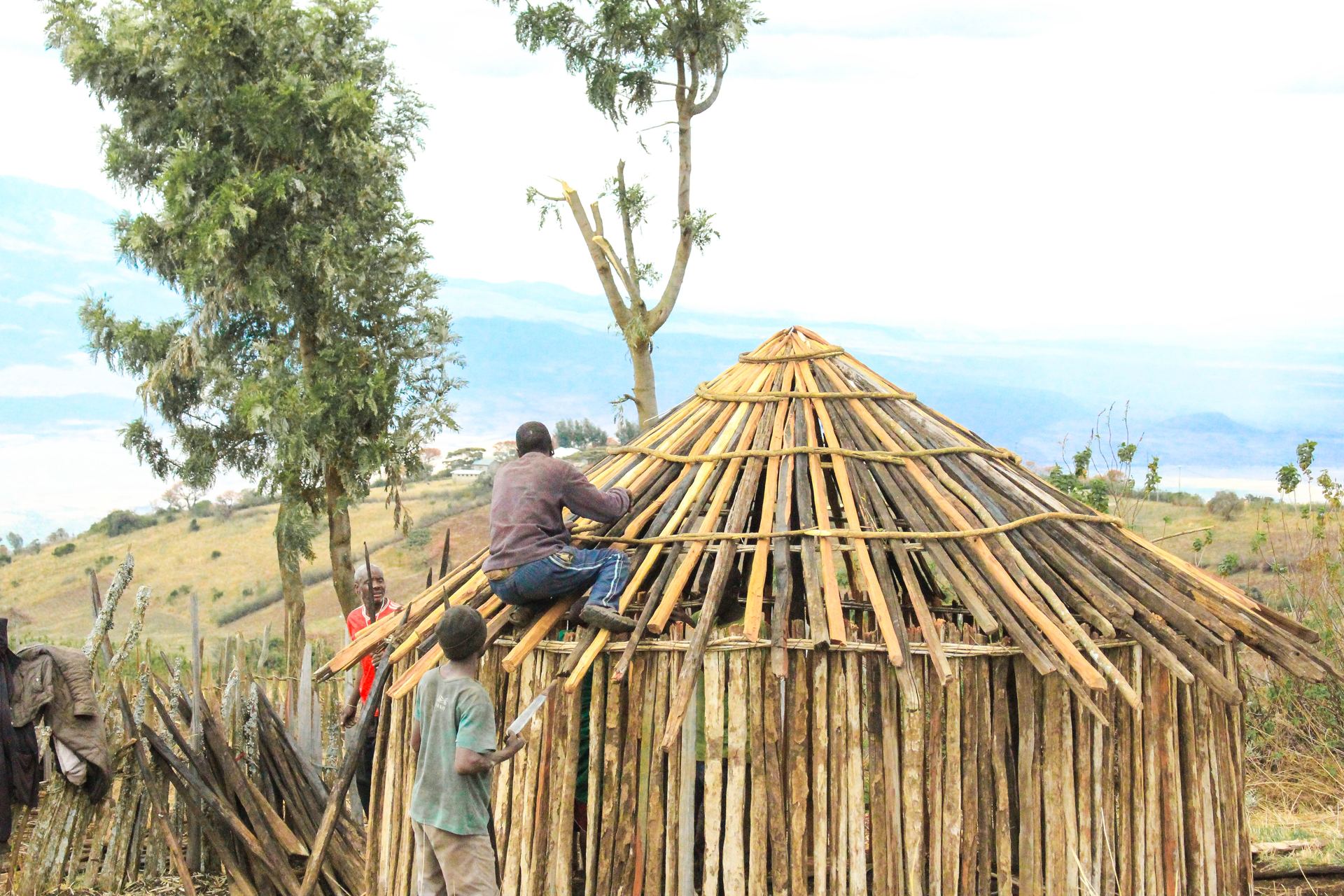 Project House