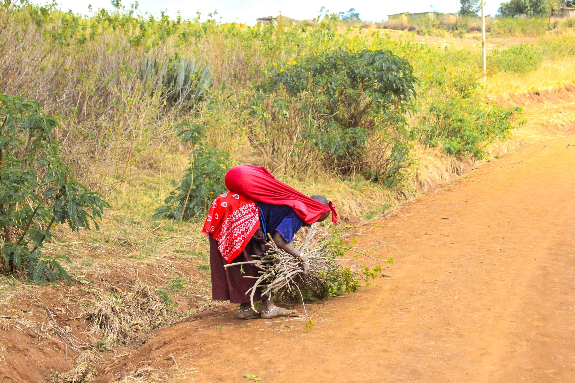 Woman Collecting Firewood